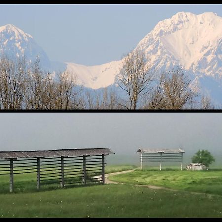 Mamut Stay Kamnik Exterior photo